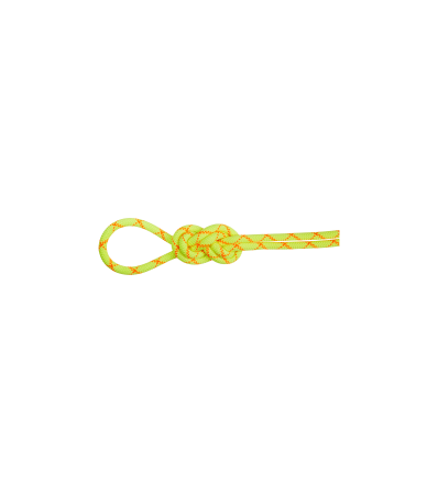 Mammut 9.5 Alpine Core Protect Dry Rope 70m