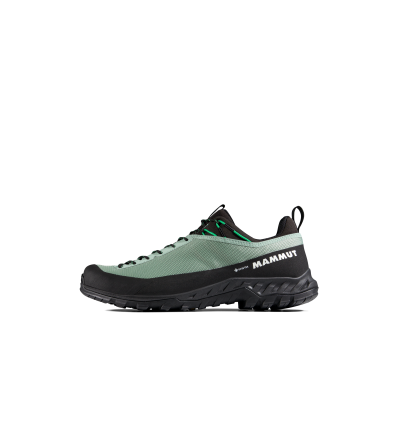 Mammut Alnasca IV Low GTX Men