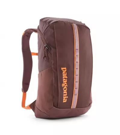 Patagonia Black Hole Pack 25L