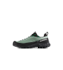 Mammut Alnasca IV Low GTX Men